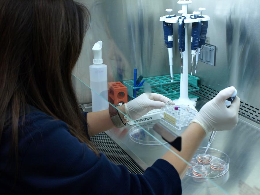 Marquette provides a supportive environment for academic research. Photo by Martina Ibanez (angela.ibanez-baldor@marquette.edu)