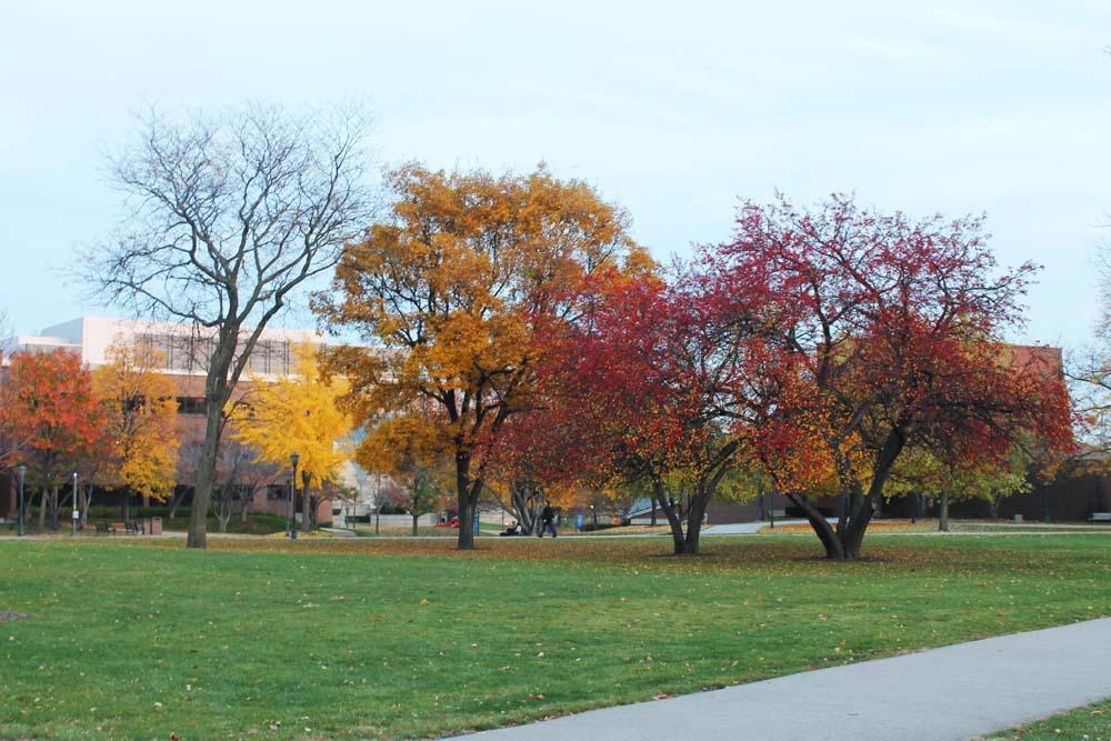 Photo by Rebecca Rebholz / rebecca.rebholz@marquette.edu