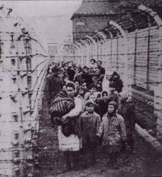 Eva and Miriam Kor, center and right in the striped jackets, after being liberated from Auschwitz. Photo via NOLA.com. 