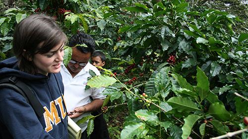 Student-led coffee nonprofit still brews passion after five years