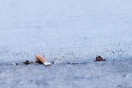 Some students said going tobacco-free would not make a difference. Photo by Ben Erickson/ benjamin.a.erickson@marquette.edu 