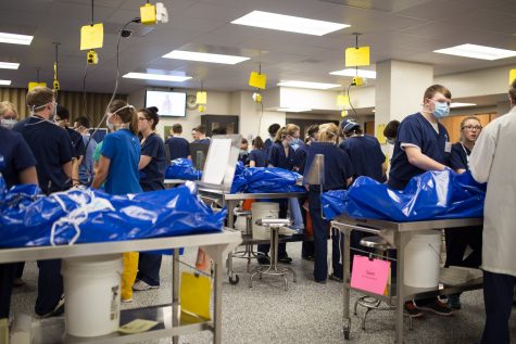 Undergraduate students take a look at their designated cadavers. The blue bags help to keep the bodies moist.