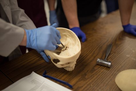 Dean Cullinan explains the intricacies of the human skull. 