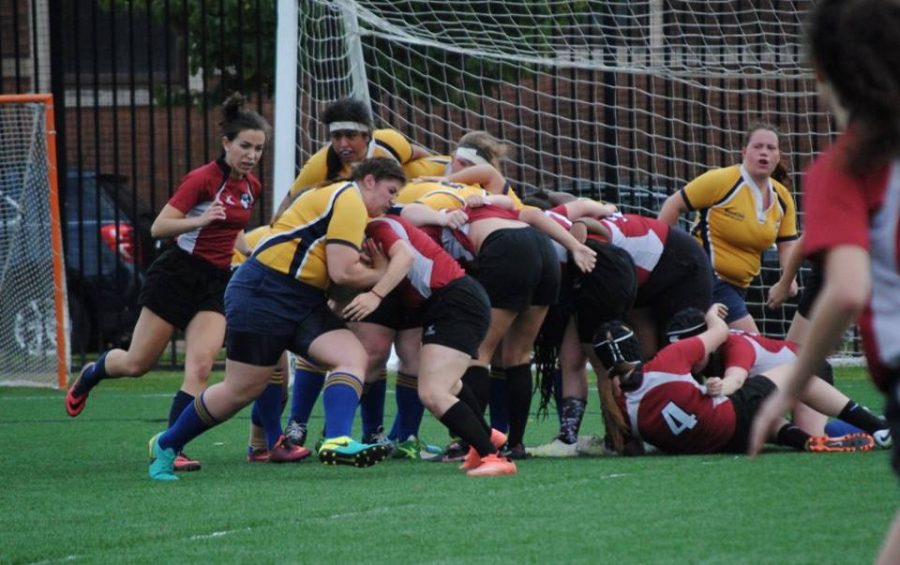 Womens rugby close to undefeated season