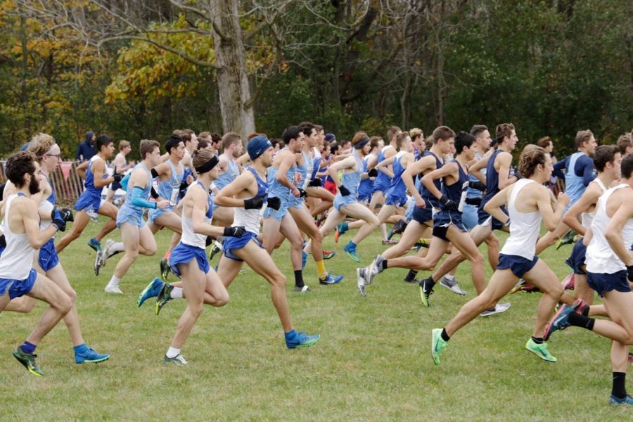 Cross country teams hope to extend their season