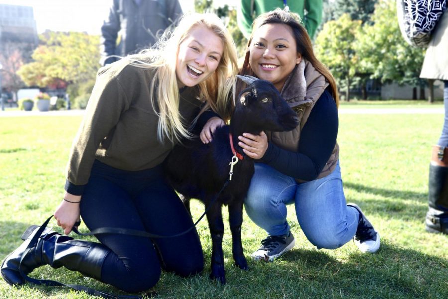 Zöe Zehren (left,) a sophomore in the College of Communication, and Inah Enolva, a junior in the College of Arts & Sciences, with one of the goats featured at the event.