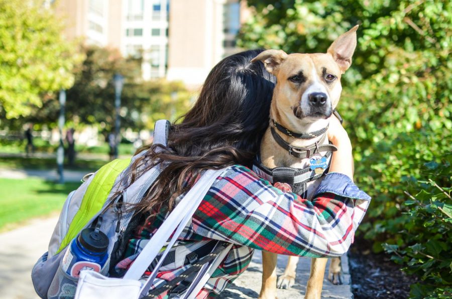 A student hugs Nattie outside the Joan of Arc Chapel.

Marquette Wire Stock Photo