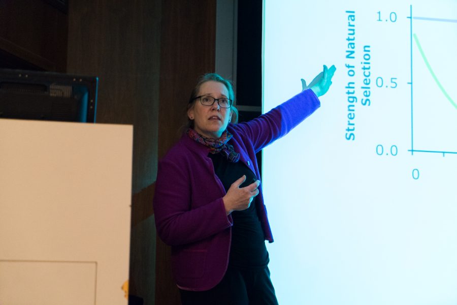 Anne Bronikowski, an alumna of Marquette’s College of Arts and Sciences, gave the final talk of the semester in the Scholl Seminar Series on Nov. 17. Her talk, titled “Evolution and Comparative biology of Aging,” discussed the rate at which different organisms age.