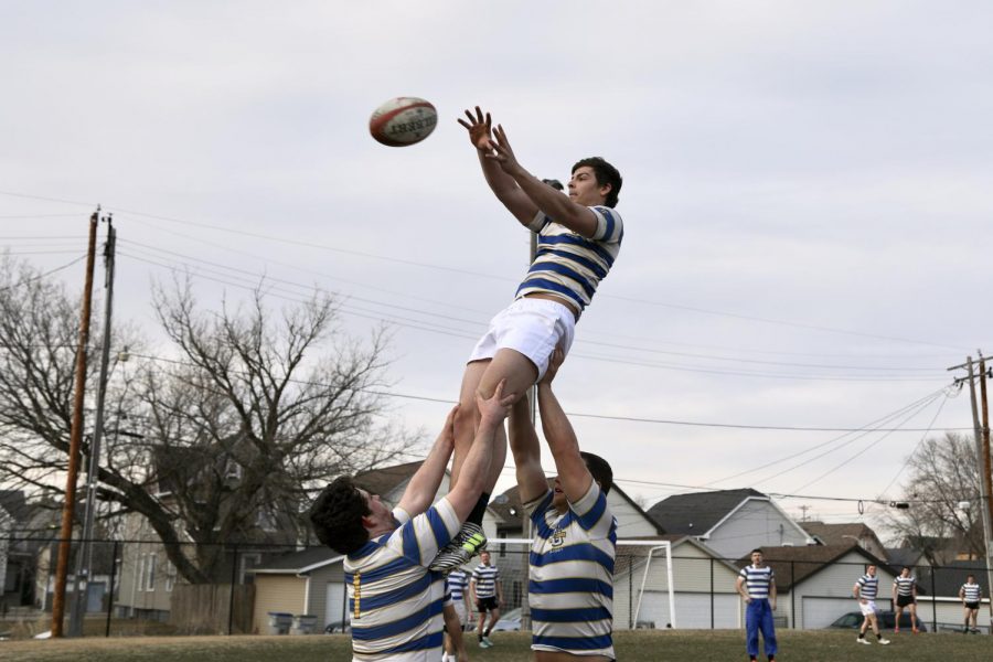 Club rugby weathers inexperience to become top-tier team