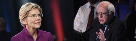 BEG: Democrats must have a strong front entering primary elections
