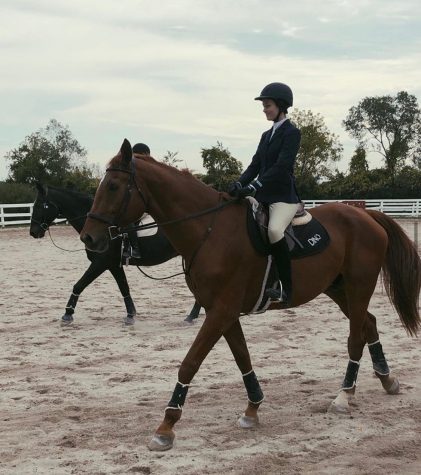 Senior Kaitlin Whalen rides her IHSA draw, Dino, in a show. (Photo courtesy of Marquette Equestrian.)