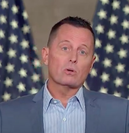 Richard Grenell was one of the speakers on the third night of the RNC. 
Screenshot from RNC livestream. 