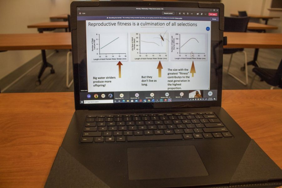 Classes have been using Microsoft Teams as a way to hold classes during the pandemic. 