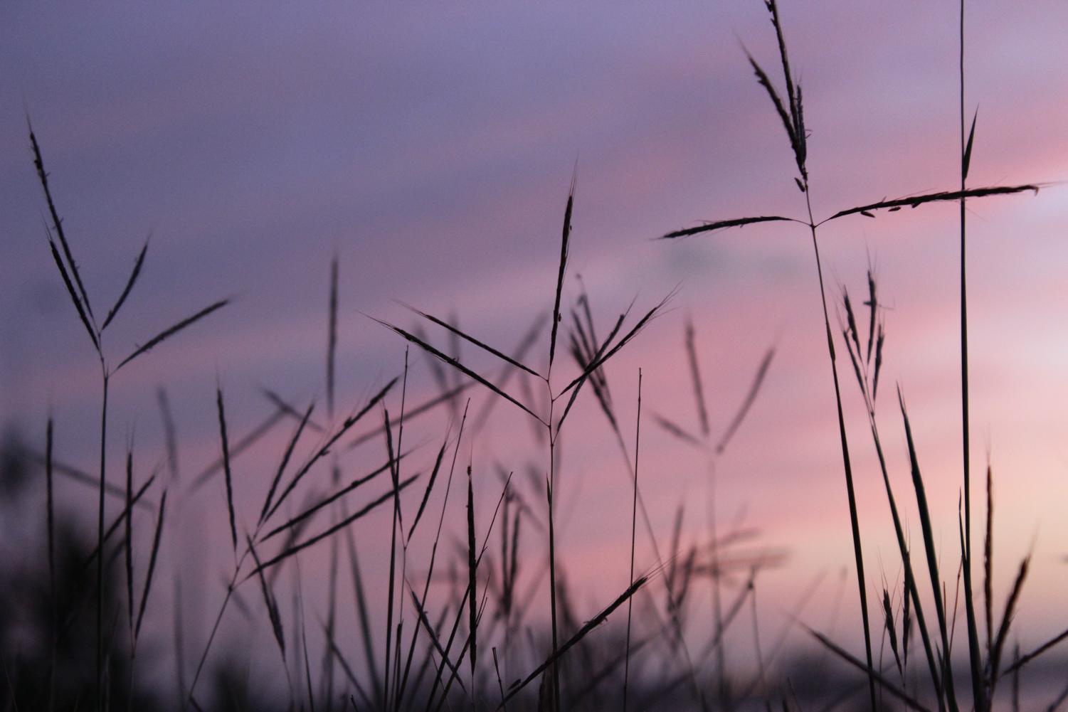 blog-a-letter-to-my-past-self-marquette-wire