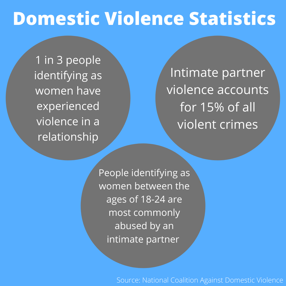 CADY: Police need more domestic violence situation training – Marquette ...