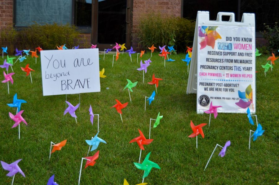 Marquette for life put up a pinwheel display in front of the AMU in honor of Respect For Life week