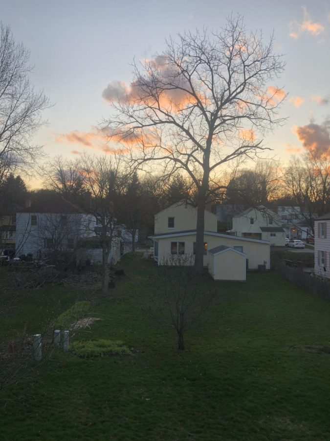 A sunset from Lauras backyard during April 2020. 