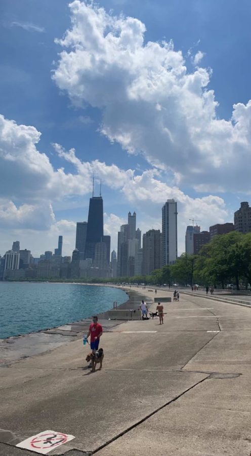 The Chicago skyline on a sunny day. 