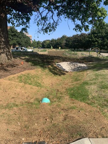 Bio-retention area outside of Lalumiere Hall