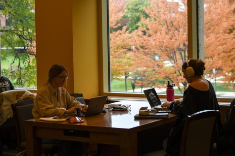 Students study in Raynor Memorial Library.