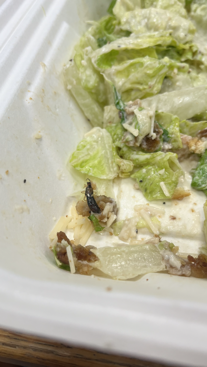 Bug found in Schroder Dining Hall salad.

Courtesy of Kelly Gill.