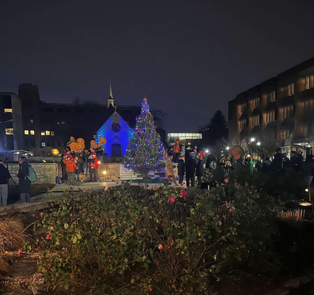 Marquette's newly-lit Christmas tree stands tall in the St. Joan of Arc Chapel's Gratitude Garden.