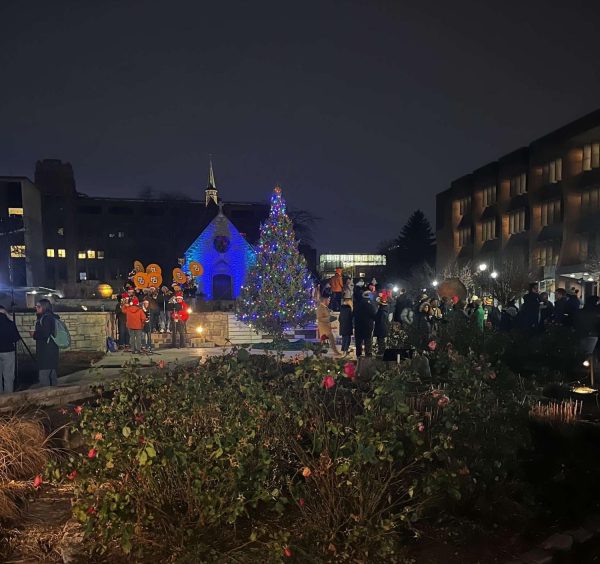 Community congregates for Christmas tree lighting