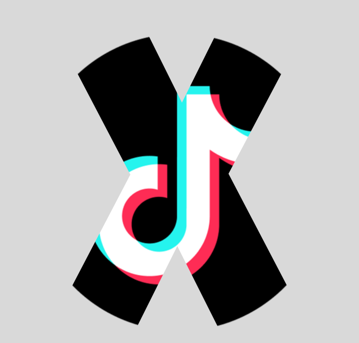 A potential TikTok ban could take place as soon as Jan. 19.