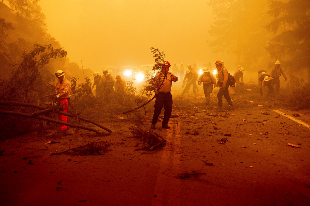 Los Angeles residents have been affected by levels of destruction never seen before in California history. Photo courtesy of Free Malaysia Today.