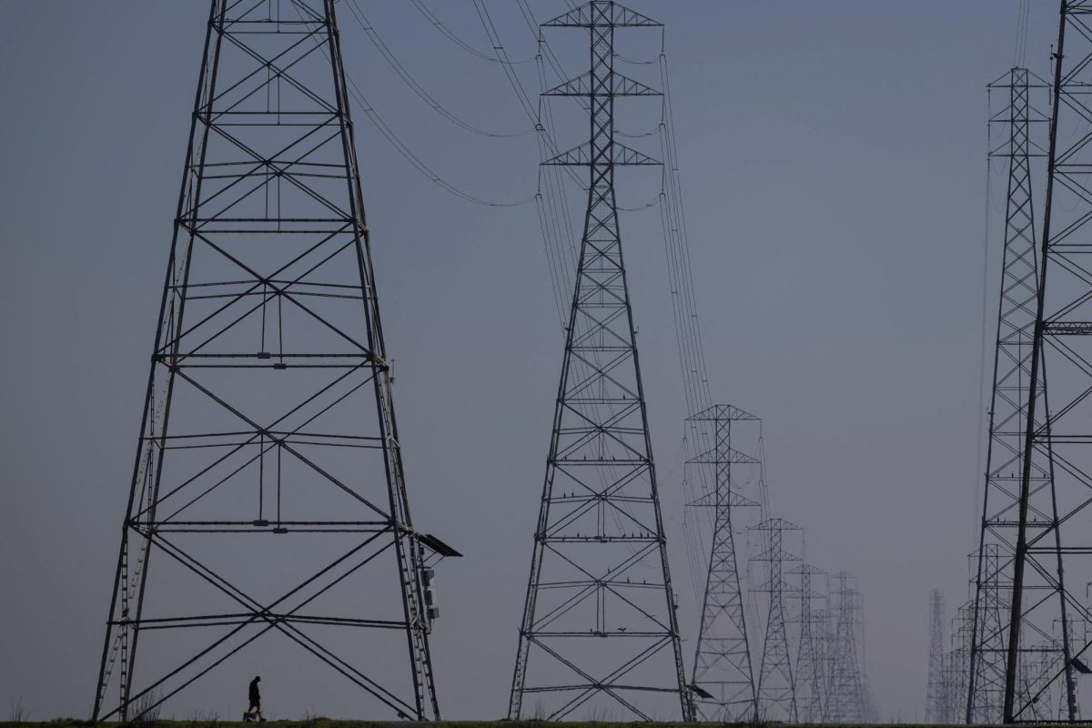 A local resident walks by the power grid towers at Bair Island State Marine Park in Redwood City, California, United States, January 26, 2022. REUTERS/Carlos Barria